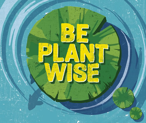 be plantwise